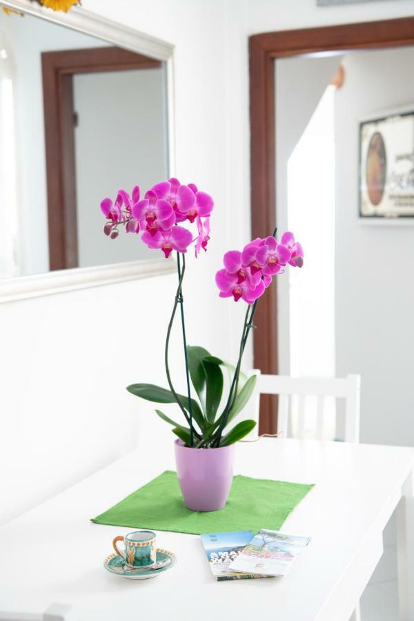 Blue Line House Positano Appartement Buitenkant foto